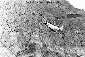 190- ARMEE DE L'AIR EN ALGERIE 1945-1962-38 (63)